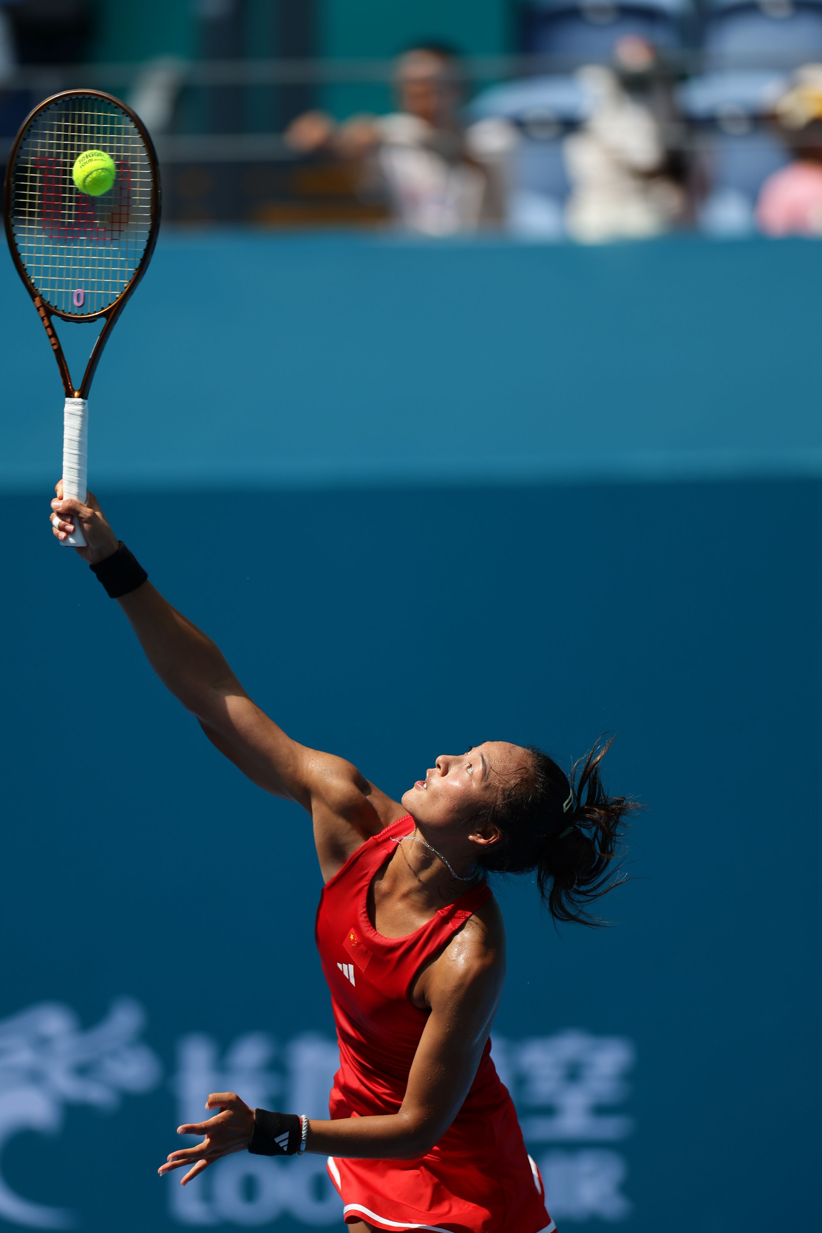 仅是资本的 仅是资本的