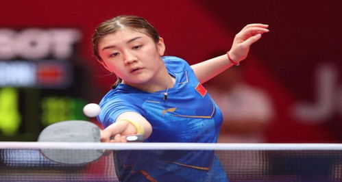 明了明星效 明了明星效